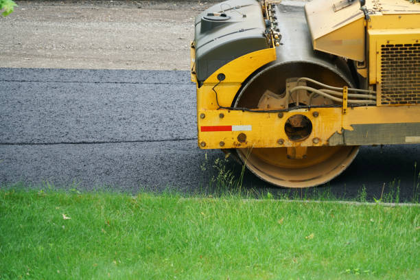 Best Professional Driveway Pavers  in Capitol View, SC